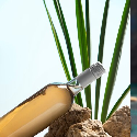 Ayurvedic Joint Pain Syrup