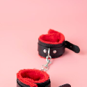 BDSM Toys