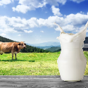 Calcium Syrup Veterinary
