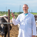 Homeopathic Veterinary Medicines