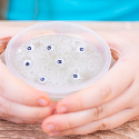 Hydroxypropyl Methylcellulose Ophthalmic