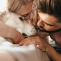 Pet Grooming Service