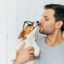 Pets Treatment