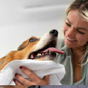 Veterinary Bolus