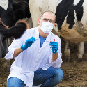 Veterinary Vaccines