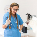 Veterinary Injections